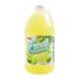 Frosti-Tropics-Margarita-Slushie-Syrup
