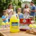 Snappy Banana Sno Cones being enjoyed at a backyard party.